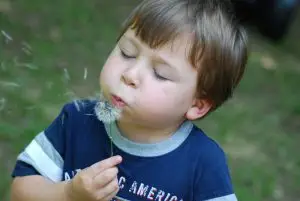 boyblowingflower